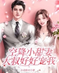 空降小甜妻,大叔好好宠我