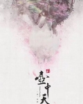 新壶中天