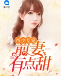 帝少专宠:前妻有点甜