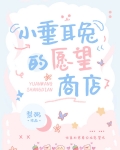 小垂耳兔的愿望商店
