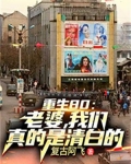 重生80:老婆,我们真的是清白的