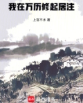 我在万历修起居注