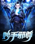 妙手邪尊