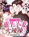 司少枭宠:重生小妻火辣辣