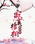 寂寞梧桐锁清秋