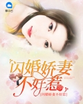 闪婚娇妻不好惹