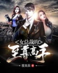 女总裁的至尊高手