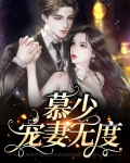 慕少宠妻无度