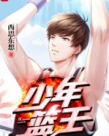 少年篮王