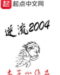 逆流2004