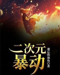 二次元暴动