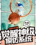 NBA开局觉醒神级模仿系统