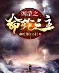 网游之命轮之主