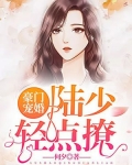 豪门宠婚:陆少轻点撩
