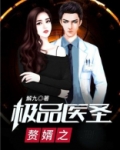 赘婿之极品医圣