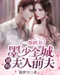 一纸婚书:墨少全城通缉夫人前夫