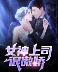 女神上司很傲娇