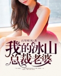 我的冰山总裁老婆