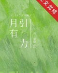 月有引力