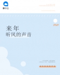 来年听风的声音