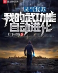 灵气复苏:我的武功能自动进化