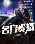 名门贵婿
