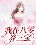 我在八零养三宝