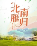北雁南归