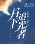 月下追光者