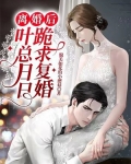 离婚后,叶总日日跪求复婚