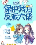 快穿:保护我方反派大佬