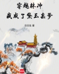 穿越林冲,我成了黛玉亲爹