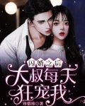 闪婚之后大叔每天狂宠我