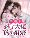 离婚后，怀了大佬的小祖宗