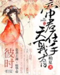 帝君在手，天下我有