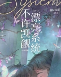 不许觊觎漂亮系统!!