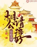 相公请捂好你的马甲