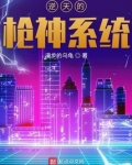 逆天的枪神系统