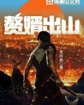 赘婿出山