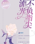不负指尖流光