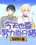 今天也要努力当只猫