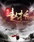我是赵括