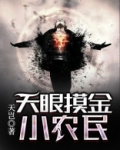 天眼摸金小农民