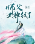 师父又掉线了