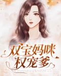 双宝妈咪权宠爹