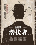 最后的潜伏者(下)
