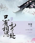 只有相思无尽处