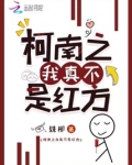柯南之我真不是红方