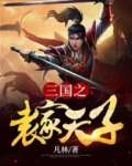 三国之袁家天子