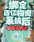 绑定百亿物资系统后暴富古代了